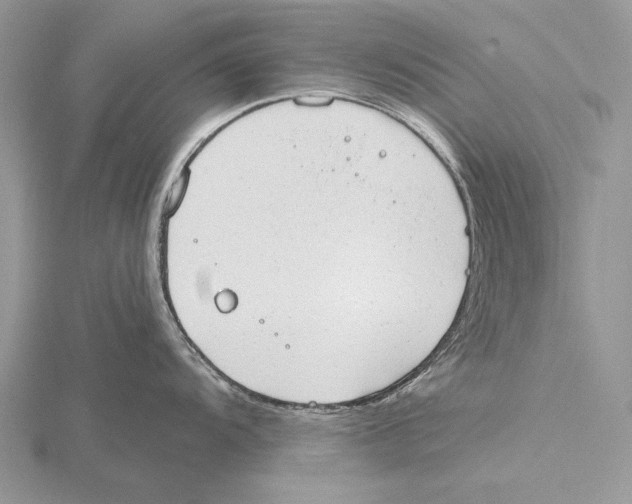 X0000115631104200912081038