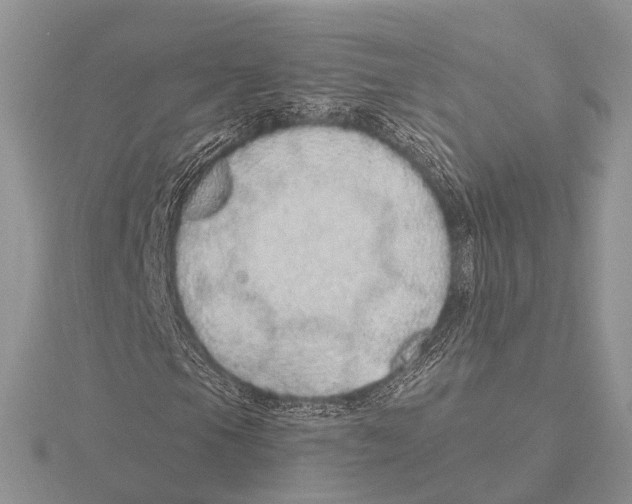 X0000115631105200912081037