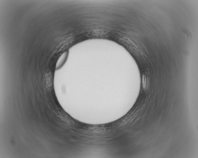 X0000115631107200912081038