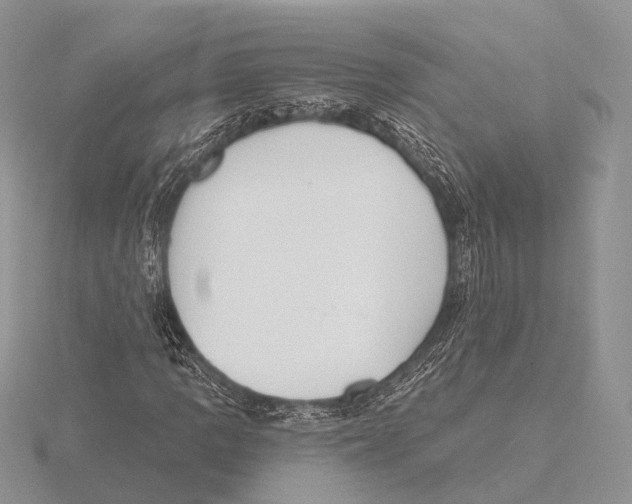 X0000115631109200912081038