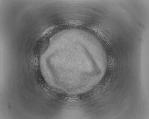 X0000115631110200912081038