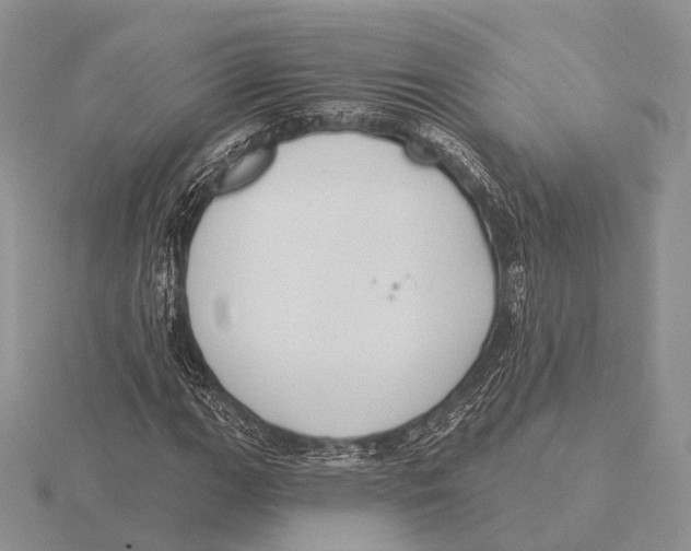 X0000115631111200912081038