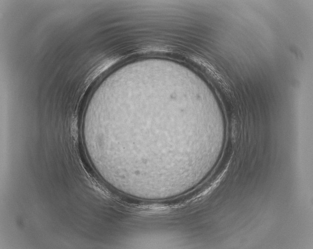 X0000115631113200912081038