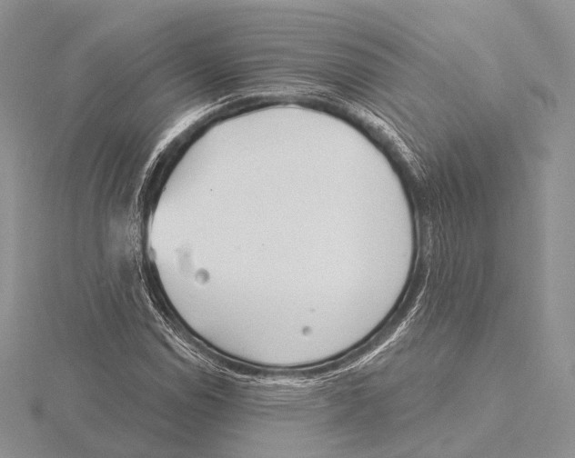 X0000115631114200912081038