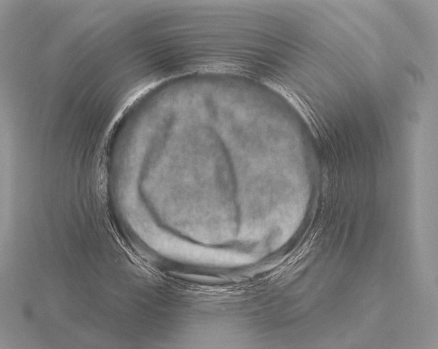 X0000115631115200912081038