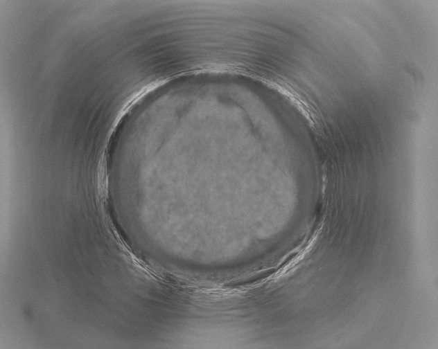 X0000115631117200912081038