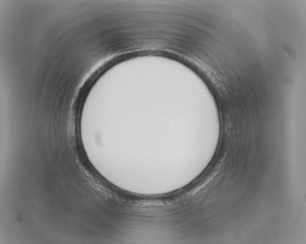 X0000115631118200912081038