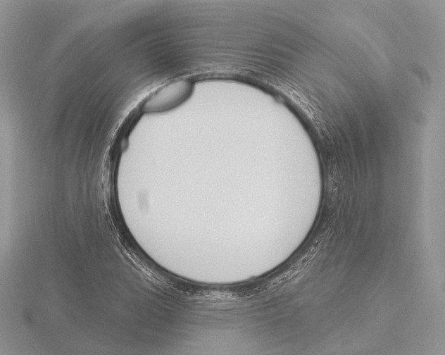 X0000115631119200912081038