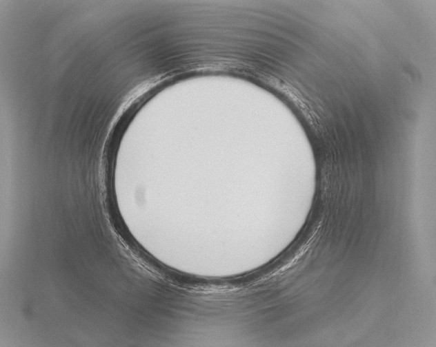 X0000115631122200912081038