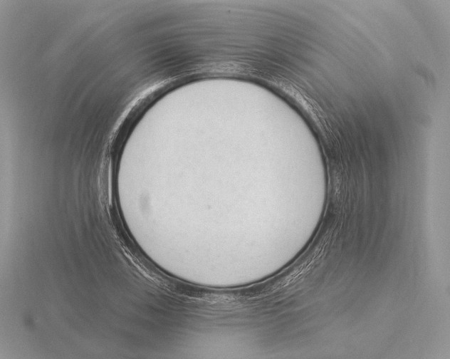 X0000115631123200912081038