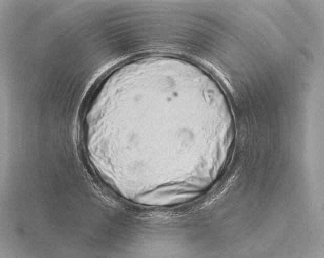 X0000115631125200912081038