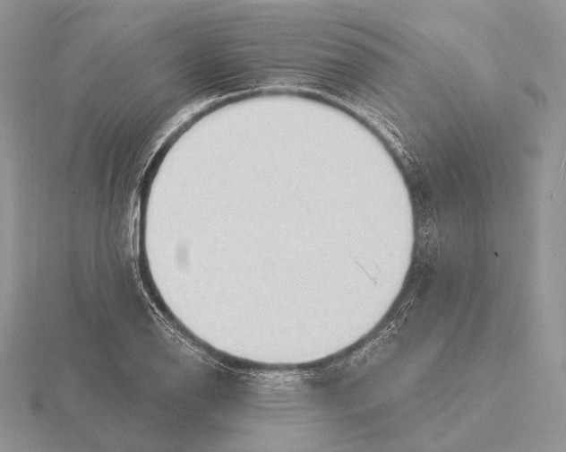 X0000115631126200912081038