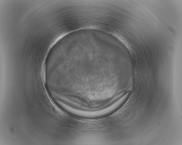 X0000115631127200912081038