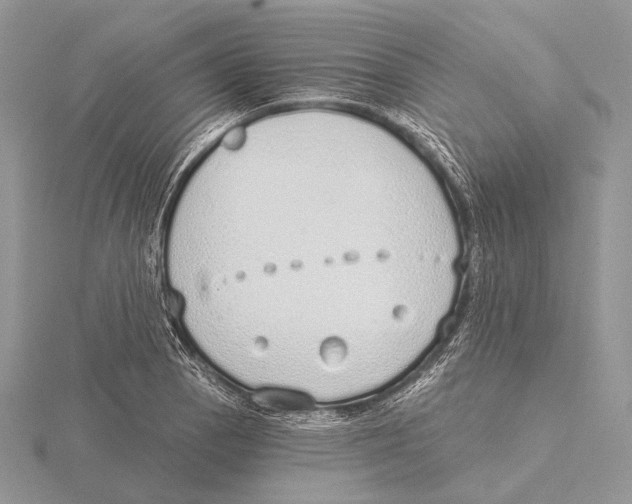 X0000115631129200912081038