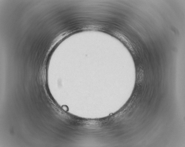 X0000115631130200912081038