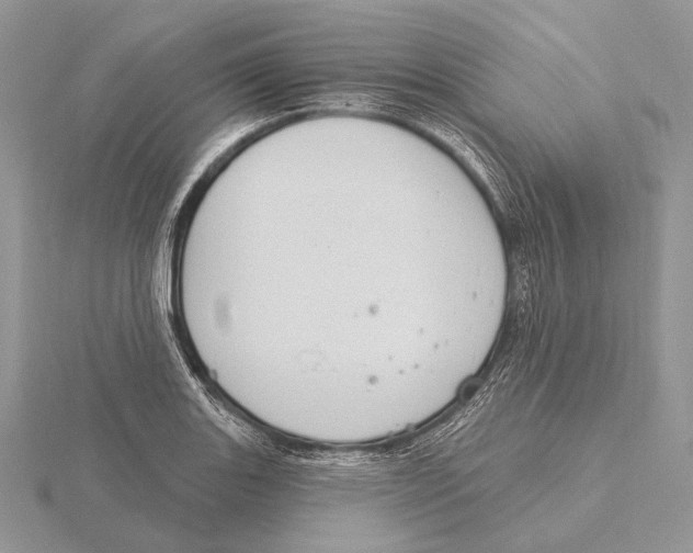 X0000115631131200912081038