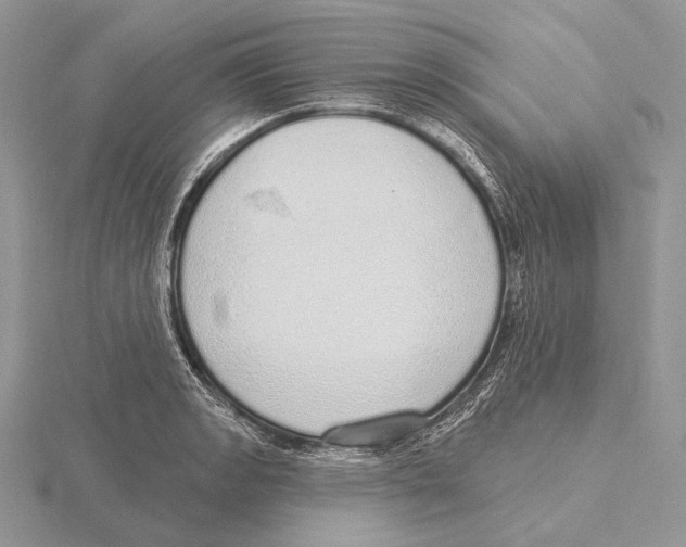 X0000115631133200912081038