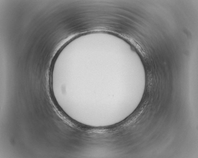 X0000115631134200912081038