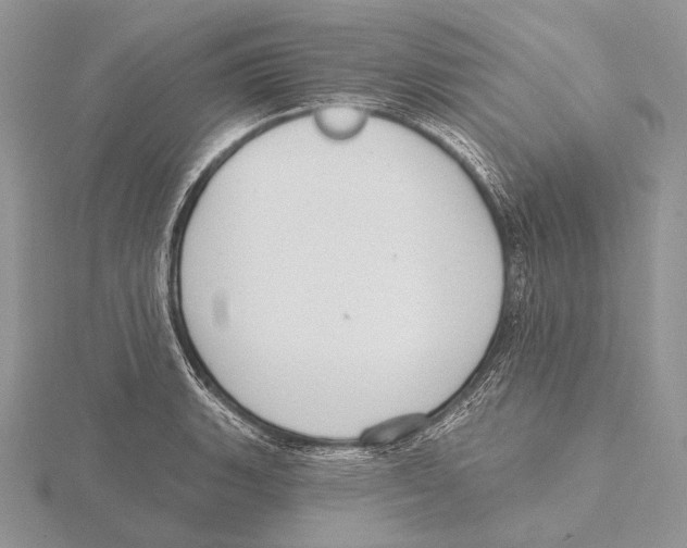 X0000115631135200912081038