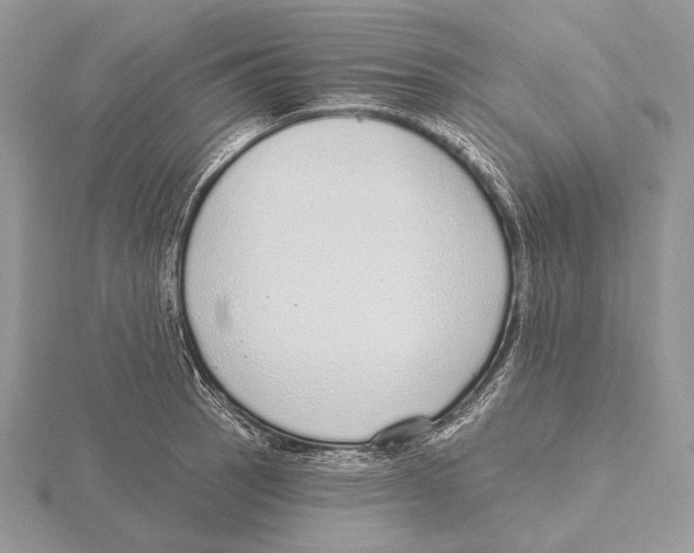 X0000115631137200912081038