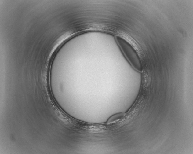 X0000115631138200912081038