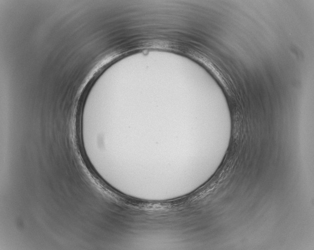 X0000115631139200912081038