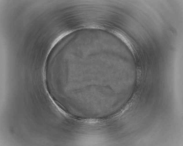 X0000115631141200912081038