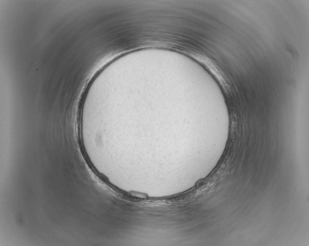 X0000115631143200912081038