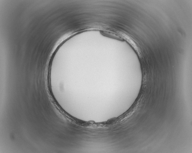 X0000115631146200912081038