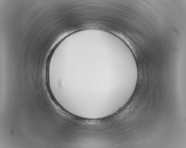 X0000115631147200912081038