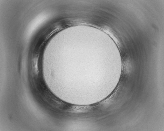 X0000115631150200912081038