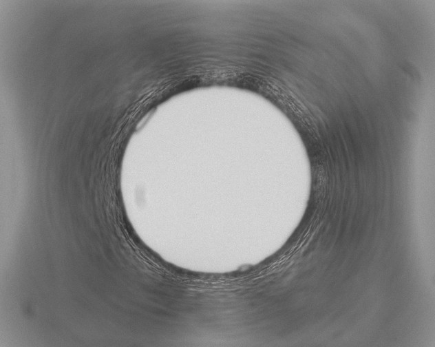 X0000115631153200912081037