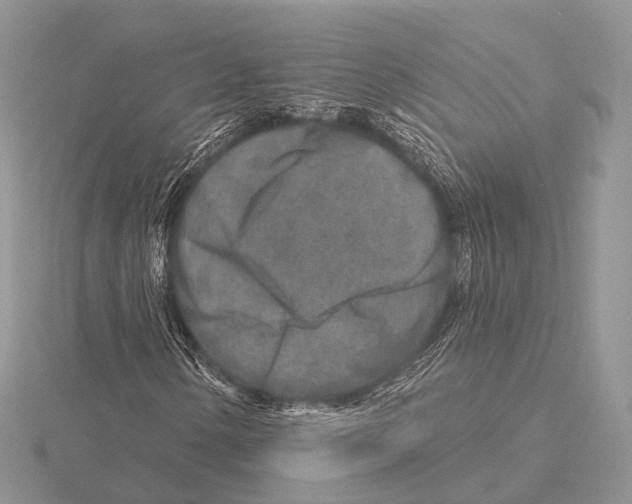 X0000115631154200912081037