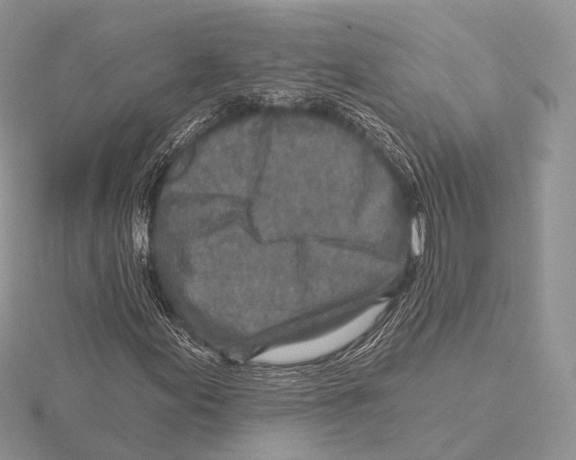 X0000115631155200912081037