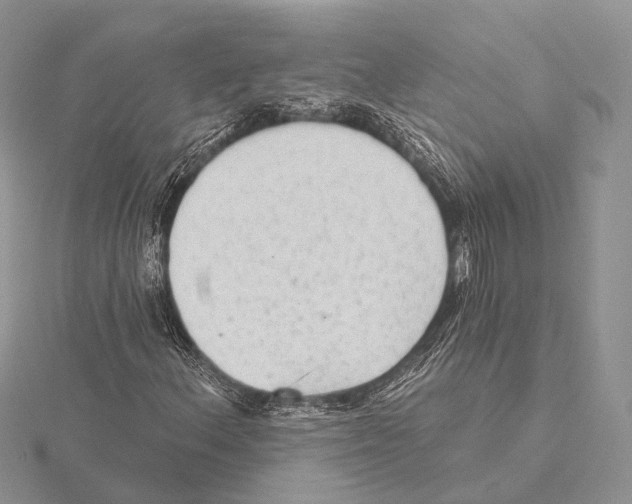 X0000115631156200912081037