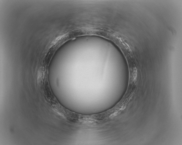 X0000115631157200912081037