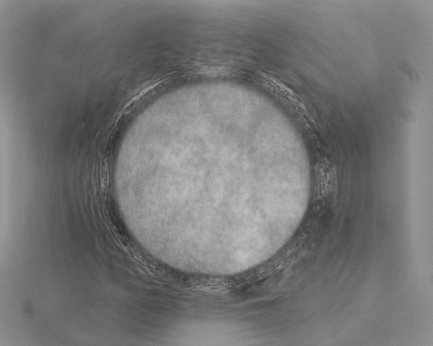 X0000115631158200912081037