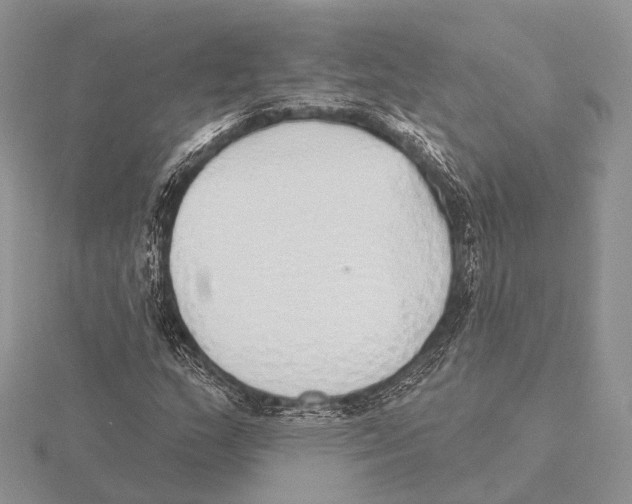 X0000115631159200912081037