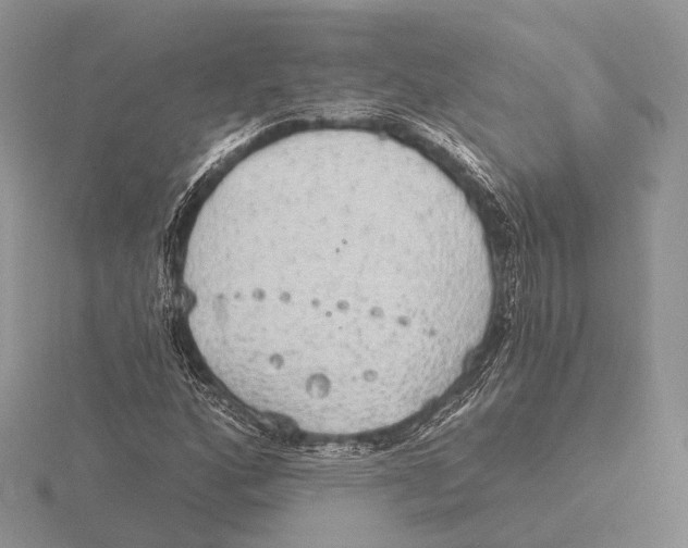 X0000115631160200912081037