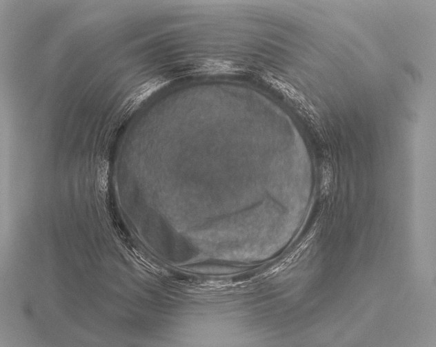 X0000115631161200912081037