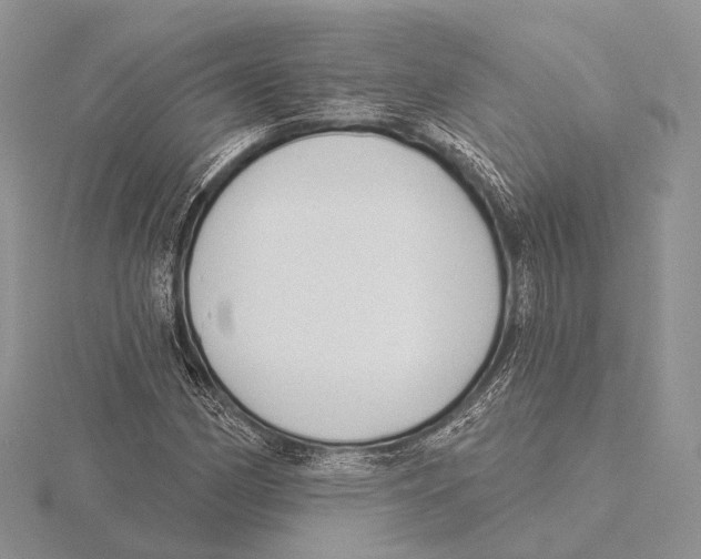 X0000115631162200912081037