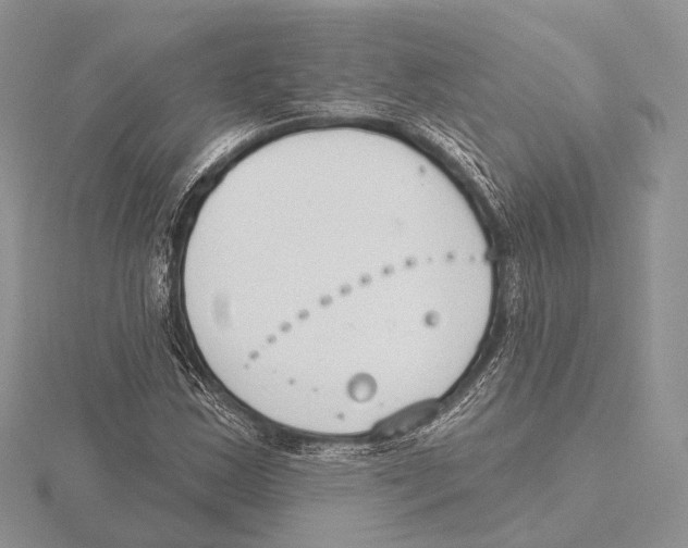 X0000115631163200912081037