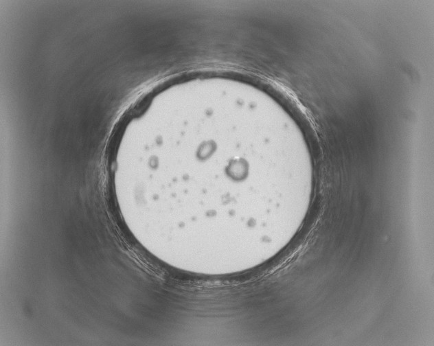 X0000115631167200912081037