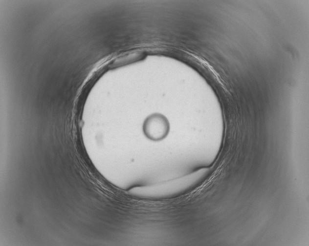 X0000115631168200912081037