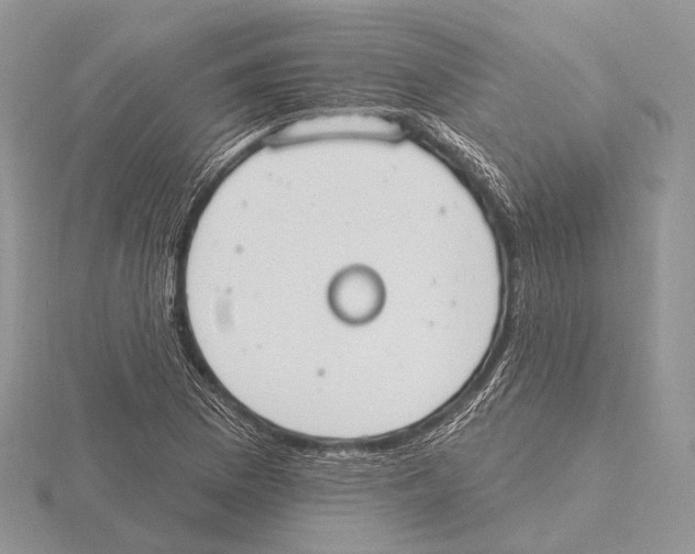 X0000115631169200912081037