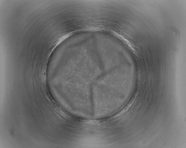 X0000115631170200912081037