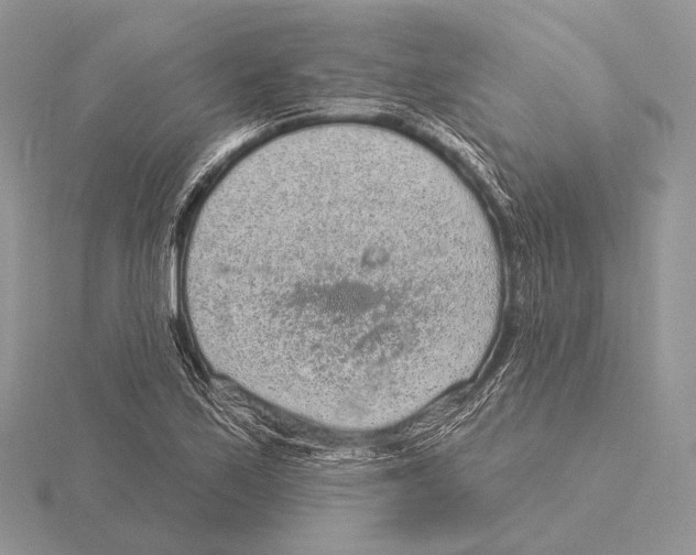 X0000115631171200912081037