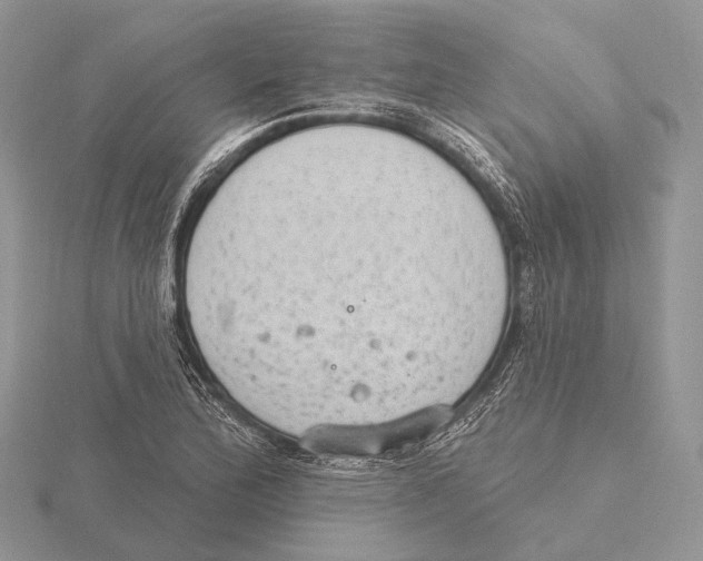 X0000115631172200912081037