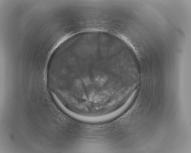 X0000115631173200912081037