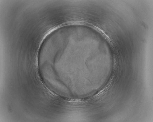 X0000115631174200912081037